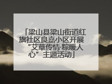 梁山县梁山街道红旗社区良嘉小区开展“艾草传情·粽暖人心”主题活动