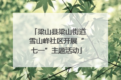 梁山县梁山街道雪山峰社区开展“七一”主题活动