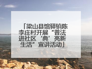 梁山县馆驿镇陈李庄村开展“普法进社区‘典’亮新生活”宣讲活动