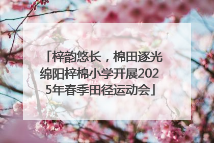 梓韵悠长，棉田逐光 绵阳梓棉小学开展2025年春季田径运动会