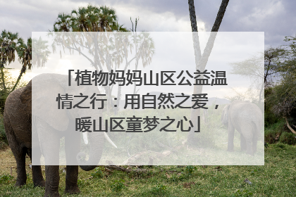 植物妈妈山区公益温情之行：用自然之爱，暖山区童梦之心