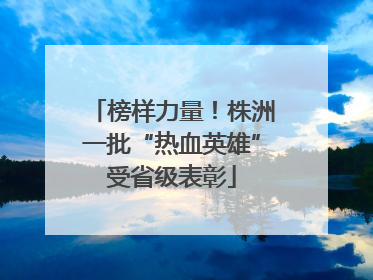 榜样力量！株洲一批“热血英雄”受省级表彰
