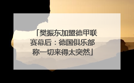 樊振东加盟德甲联赛幕后：德国俱乐部称一切来得太突然