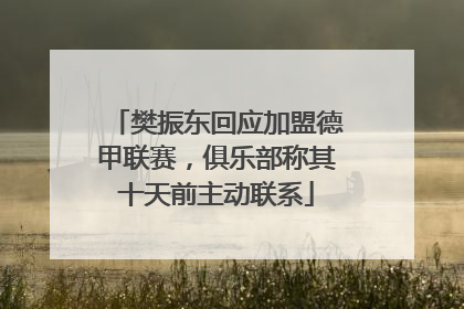 樊振东回应加盟德甲联赛，俱乐部称其十天前主动联系