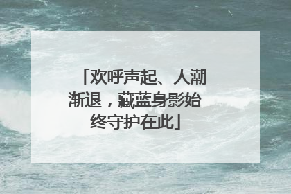 欢呼声起、人潮渐退，藏蓝身影始终守护在此