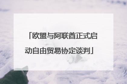 欧盟与阿联酋正式启动自由贸易协定谈判
