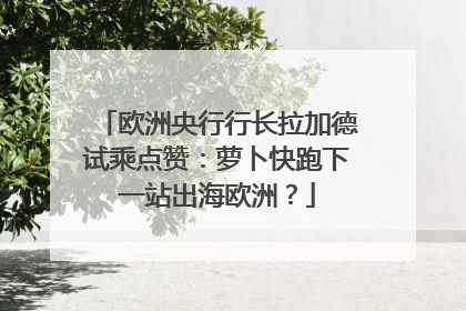 欧洲央行行长拉加德试乘点赞：萝卜快跑下一站出海欧洲？