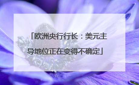 欧洲央行行长：美元主导地位正在变得不确定