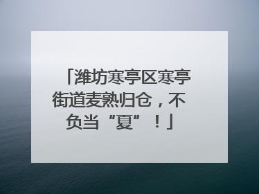潍坊寒亭区寒亭街道麦熟归仓，不负当“夏”！