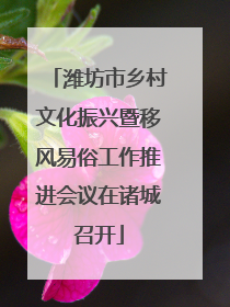 潍坊市乡村文化振兴暨移风易俗工作推进会议在诸城召开