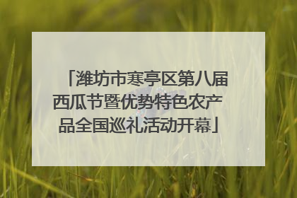潍坊市寒亭区第八届西瓜节暨优势特色农产品全国巡礼活动开幕