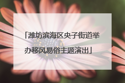 潍坊滨海区央子街道举办移风易俗主题演出