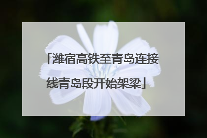 潍宿高铁至青岛连接线青岛段开始架梁