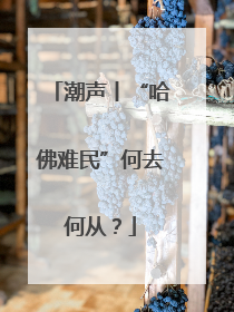 潮声丨“哈佛难民”何去何从？