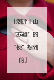 潮评丨由“苏超”的“梗”想到的