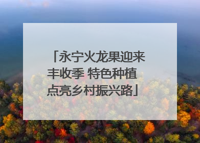 永宁火龙果迎来丰收季 特色种植点亮乡村振兴路