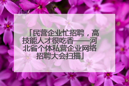 民营企业忙招聘，高技能人才很吃香——河北省个体私营企业网络招聘大会扫描