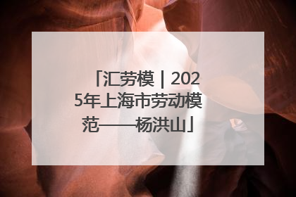汇劳模｜2025年上海市劳动模范——杨洪山
