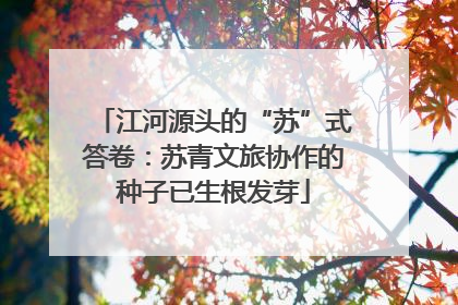 江河源头的“苏”式答卷：苏青文旅协作的种子已生根发芽