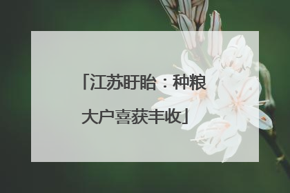 江苏盱眙：种粮大户喜获丰收