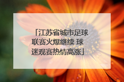 江苏省城市足球联赛火爆继续 球迷观赛热情高涨