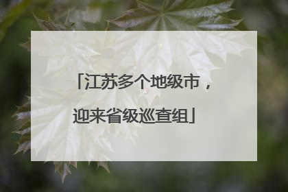 江苏多个地级市，迎来省级巡查组
