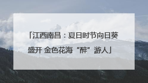 江西南昌：夏日时节向日葵盛开 金色花海“醉”游人