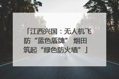 江西兴国：无人机飞防“蓝色盾牌” 烟田筑起“绿色防火墙”