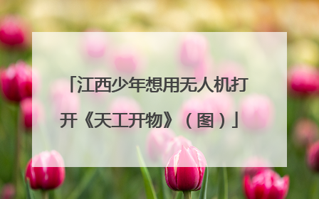 江西少年想用无人机打开《天工开物》（图）