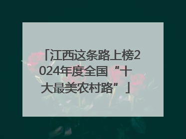 江西这条路上榜2024年度全国“十大最美农村路”