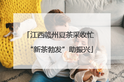 江西赣州夏茶采收忙 “新茶勃发”助振兴