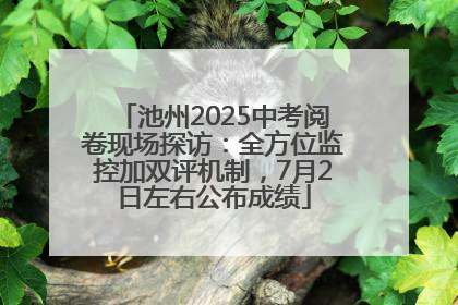 池州2025中考阅卷现场探访：全方位监控加双评机制，7月2日左右公布成绩