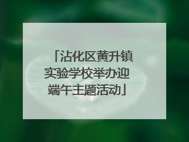 沾化区黄升镇实验学校举办迎端午主题活动