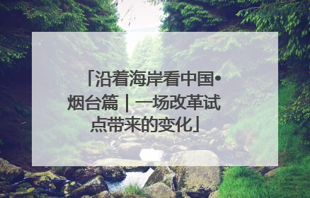 沿着海岸看中国•烟台篇｜一场改革试点带来的变化