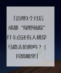 治理1个月后 成都“绿野仙踪”打卡点还有人横穿马路去拍照吗？｜民情瞭望