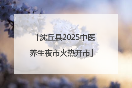 沈丘县2025中医养生夜市火热开市