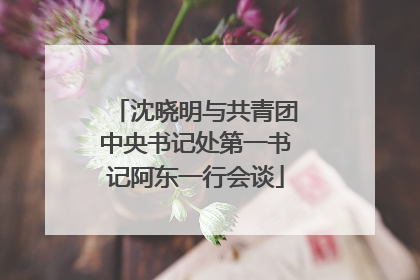 沈晓明与共青团中央书记处第一书记阿东一行会谈