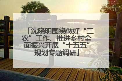沈晓明围绕做好“三农”工作、推进乡村全面振兴开展“十五五”规划专题调研