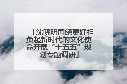 沈晓明围绕更好担负起新时代的文化使命开展“十五五”规划专题调研
