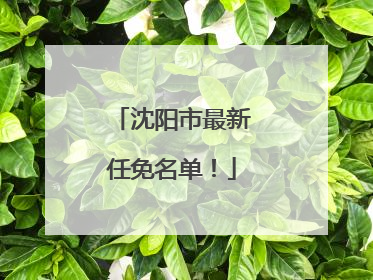 沈阳市最新任免名单！