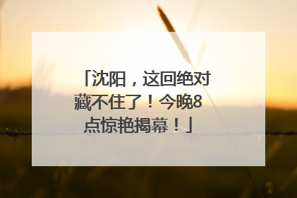 沈阳，这回绝对藏不住了！今晚8点惊艳揭幕！