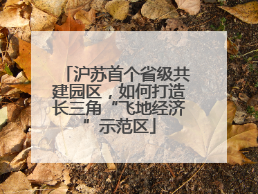 沪苏首个省级共建园区，如何打造长三角“飞地经济”示范区