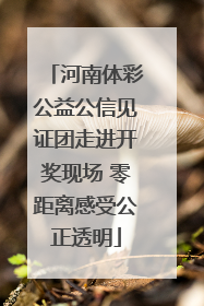 河南体彩公益公信见证团走进开奖现场 零距离感受公正透明