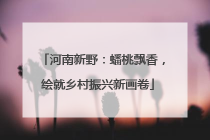 河南新野：蟠桃飘香，绘就乡村振兴新画卷