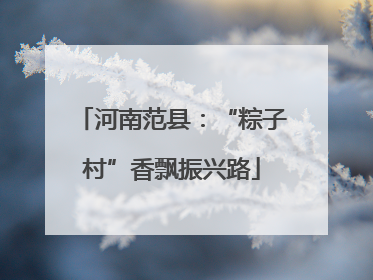 河南范县：“粽子村”香飘振兴路