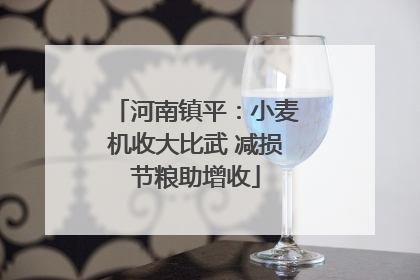 河南镇平：小麦机收大比武 减损节粮助增收