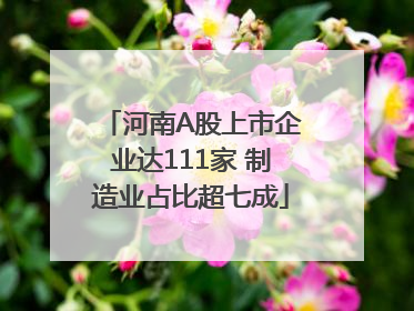 河南A股上市企业达111家 制造业占比超七成