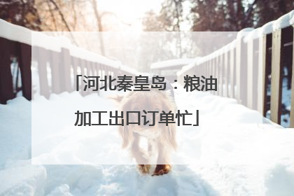 河北秦皇岛：粮油加工出口订单忙