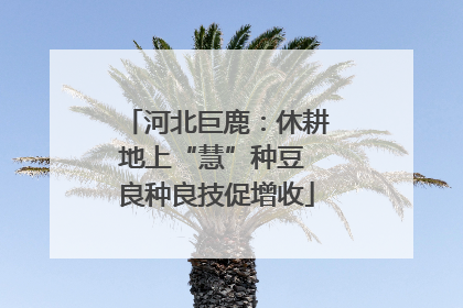 河北巨鹿：休耕地上“慧”种豆 良种良技促增收