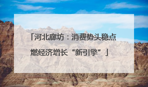 河北廊坊：消费势头稳点燃经济增长“新引擎”